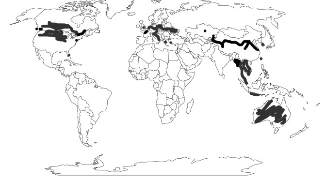 World Map - September 17, 2015