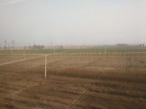 Fields outside of Beijing.