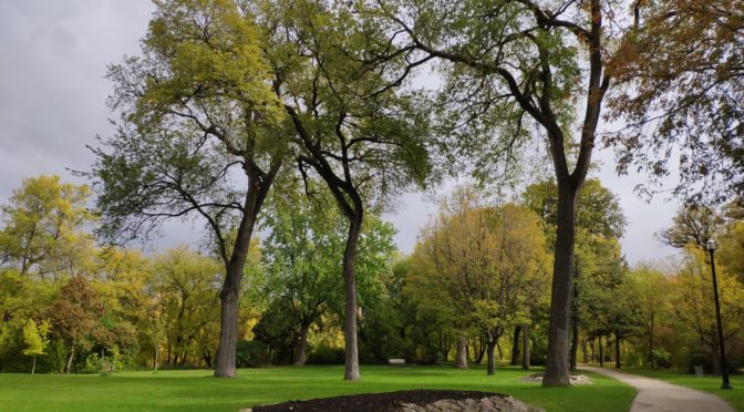 Jetalllged and visting eopople