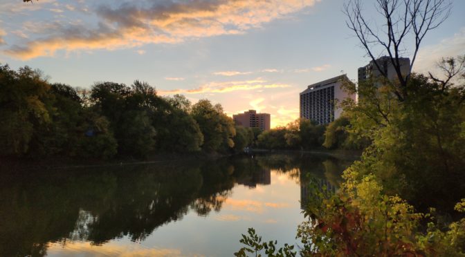 Autumn Leaves and a Morning in the Park